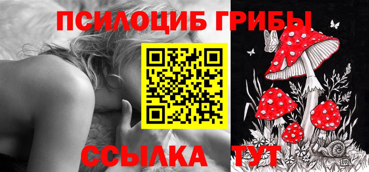 Медногорск  Псилоцибиновые грибы ЛСД  Вход с VPN 